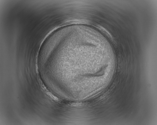 X0000082701182200702161742