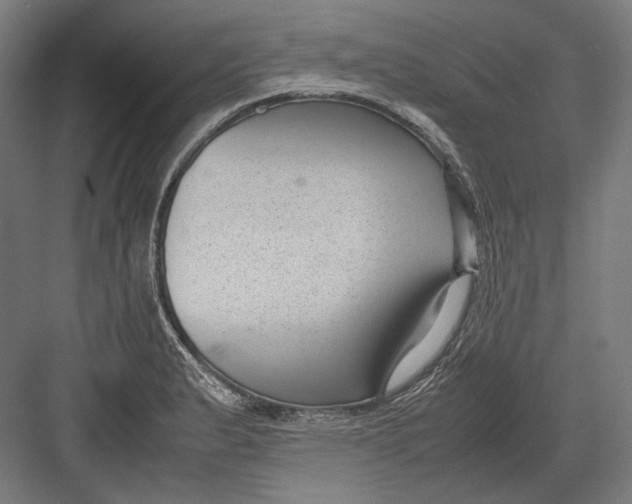 X0000082701183200702161742