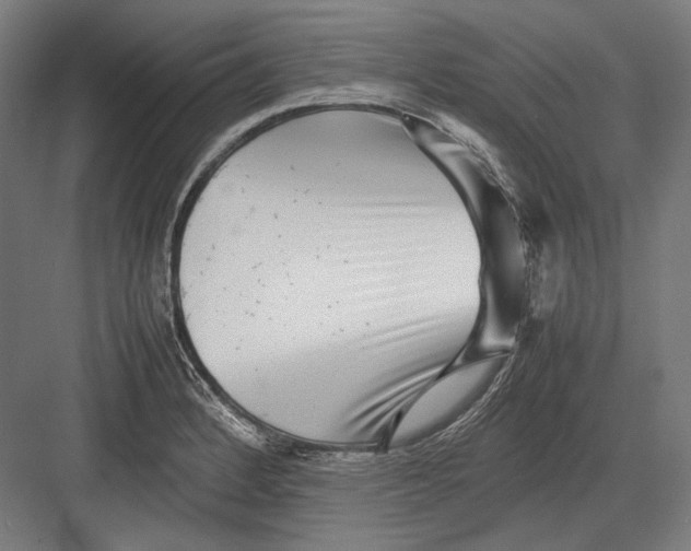 X0000082701184200702161742