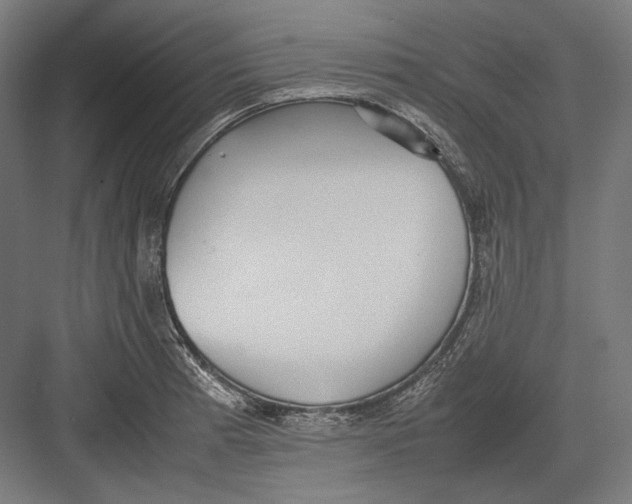 X0000082701185200702161742