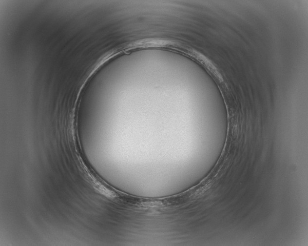 X0000082701186200702161742