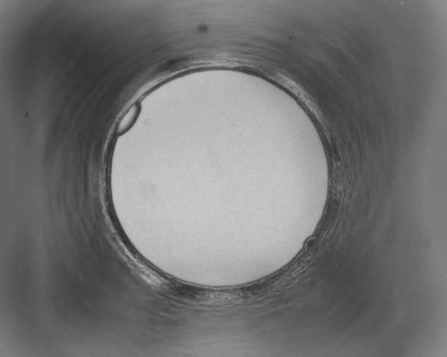 X0000082701187200702161742