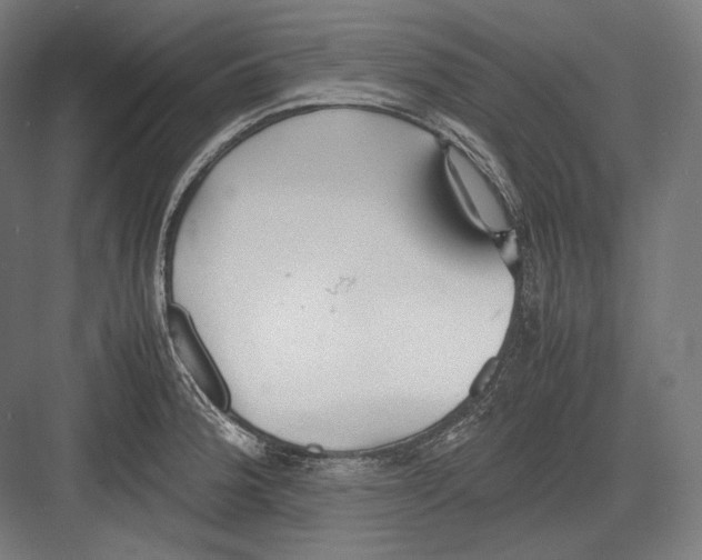 X0000082701188200702161742