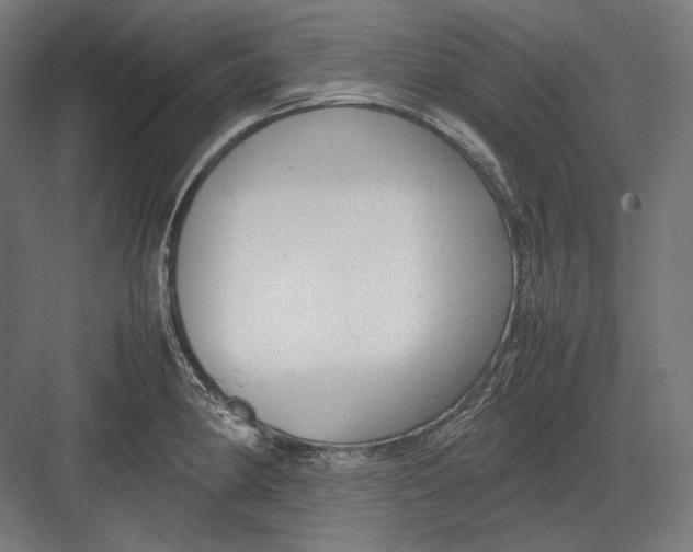 X0000082701190200702161742