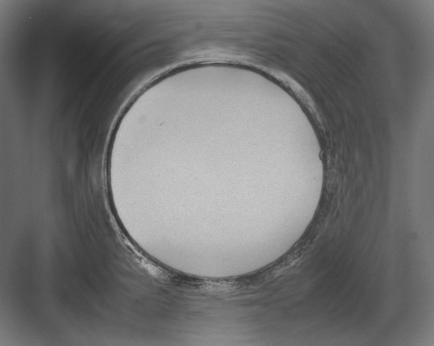 X0000082701191200702161742