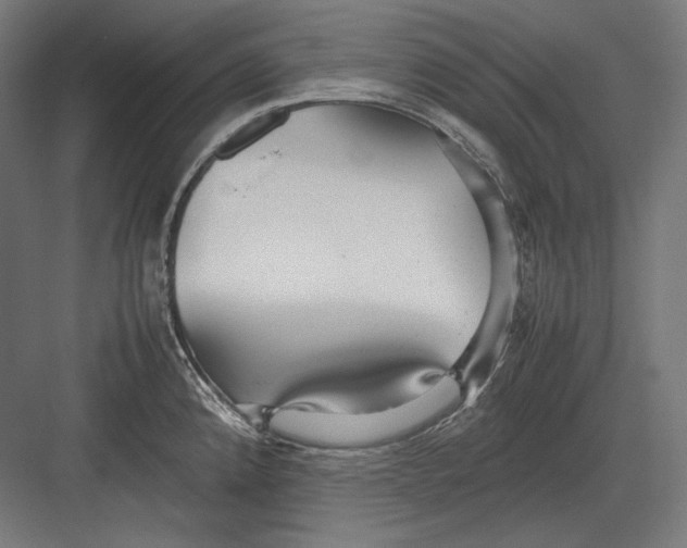 X0000082701192200702161742