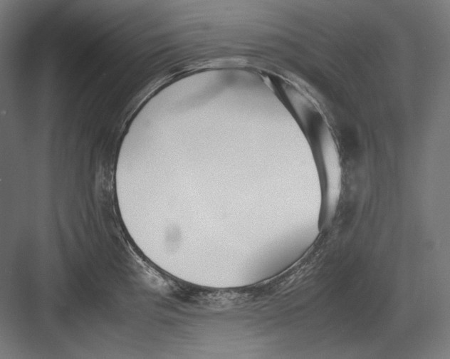 X0000082701193200702161742