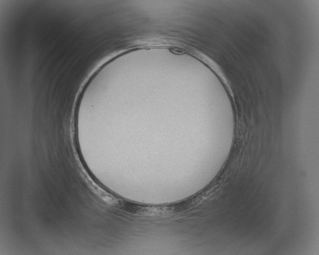 X0000082701195200702161742