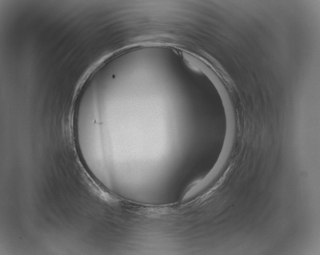 X0000082701196200702161742