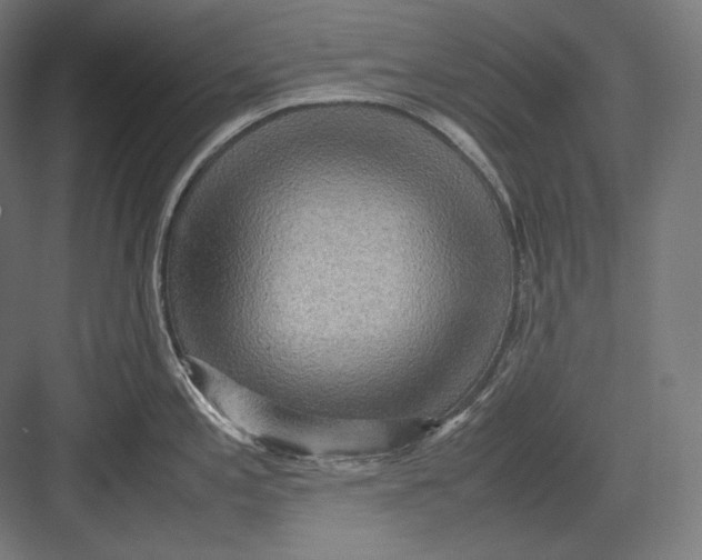 X0000082701197200702161742