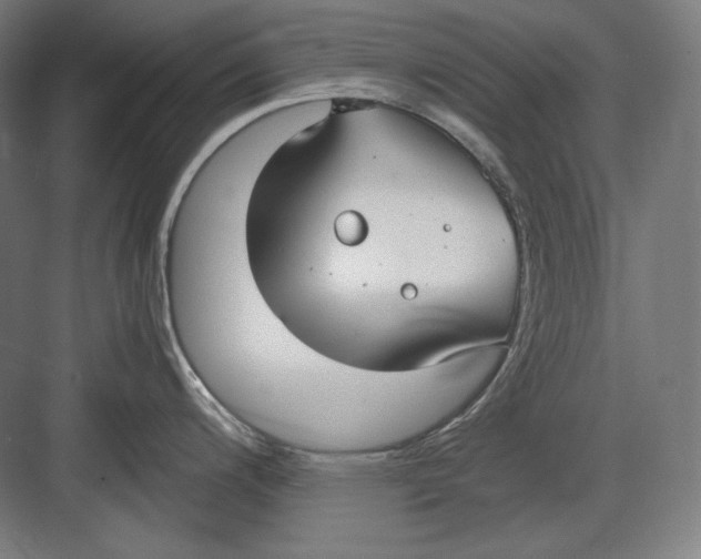 X0000082701200200702161742