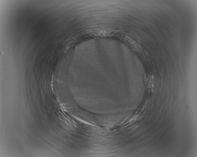 X0000082701202200702161741