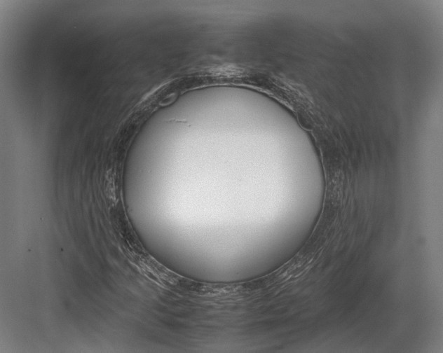 X0000082701205200702161741