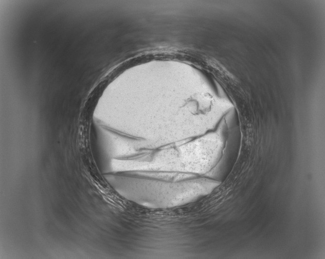 X0000082701208200702161741