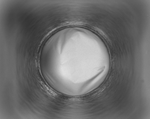 X0000082701212200702161741