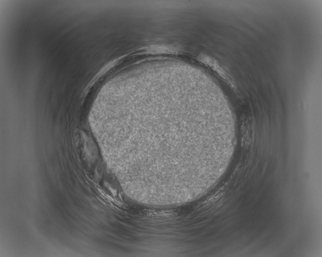 X0000082701213200702161741