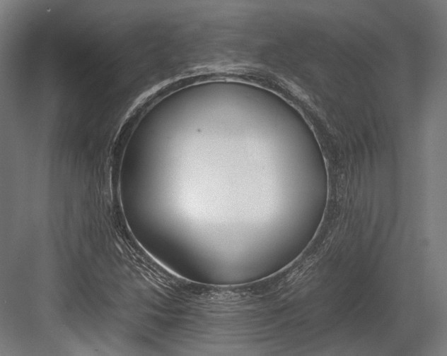 X0000082701214200702161741