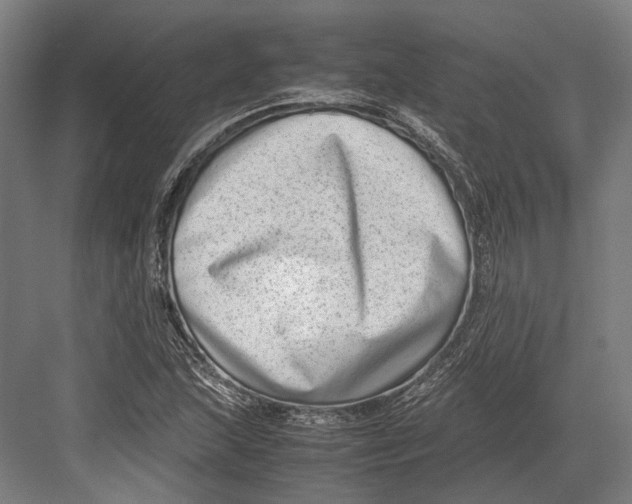 X0000082701215200702161741