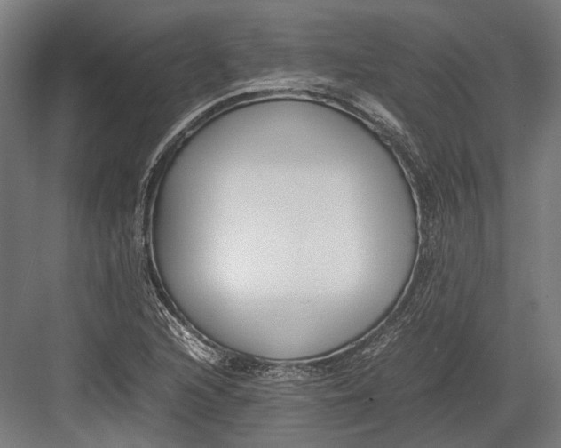 X0000082701216200702161741