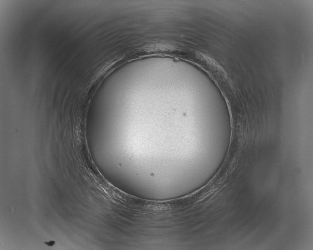 X0000082701217200702161741