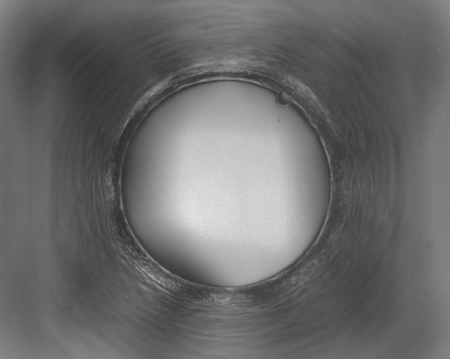 X0000082701218200702161741