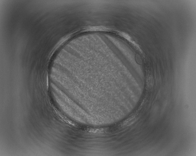 X0000082701221200702161741