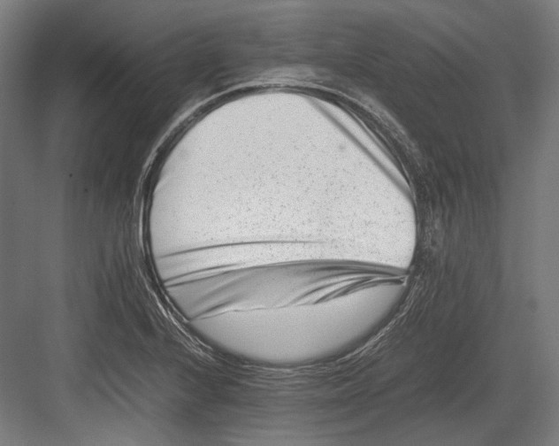 X0000082701224200702161741