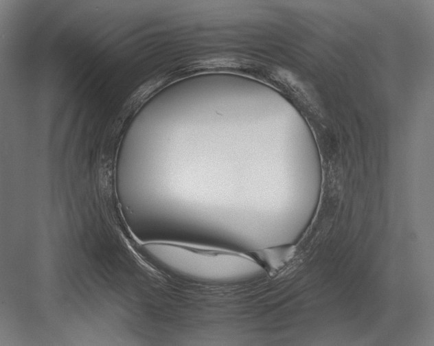 X0000082701225200702161741