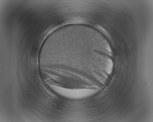 X0000082701226200702161741