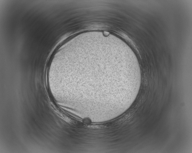 X0000082701227200702161741