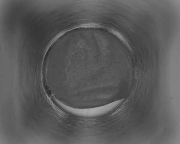 X0000082701229200702161741