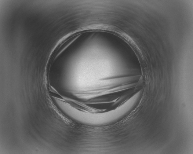 X0000082701230200702161741