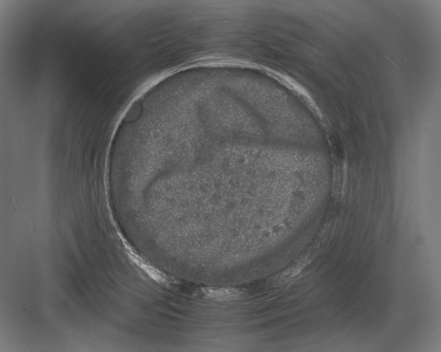 X0000082701231200702161741