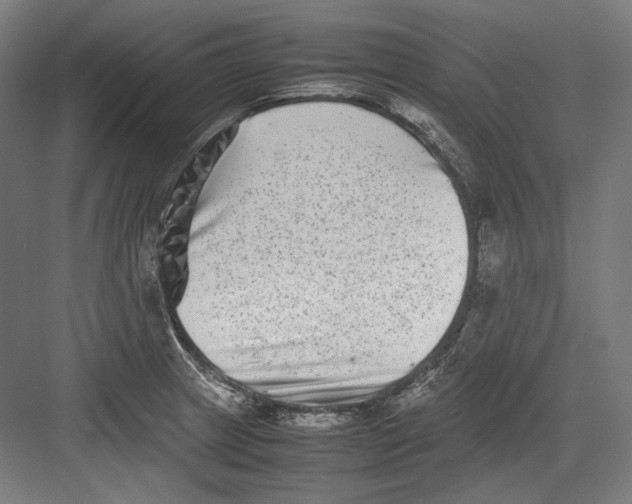 X0000082701233200702161741