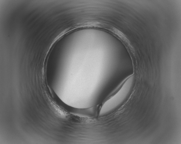 X0000082701234200702161741