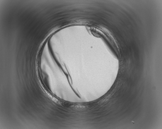 X0000082701235200702161741