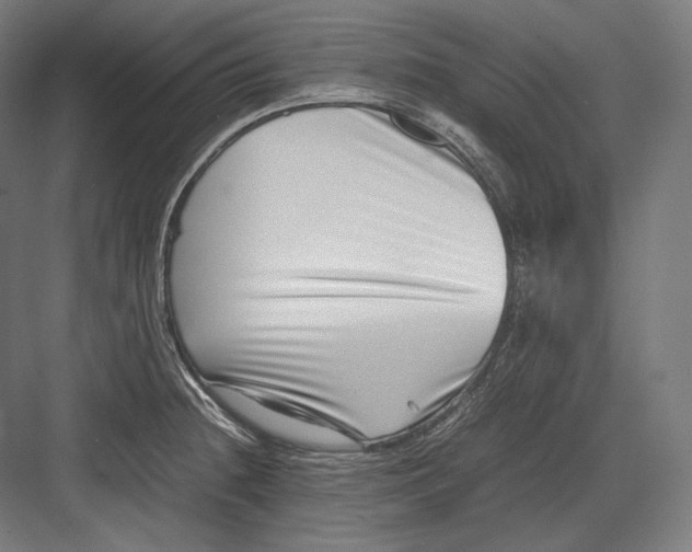 X0000082701236200702161741