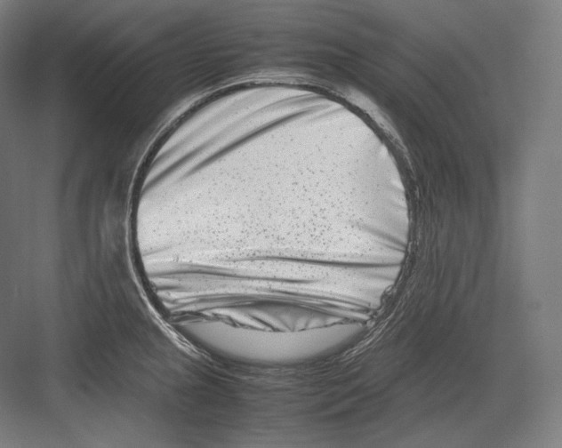 X0000082701237200702161741