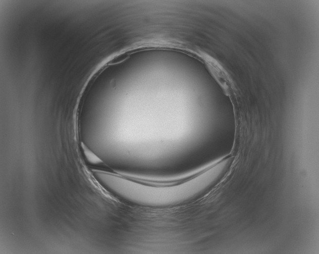 X0000082701238200702161741