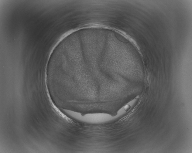 X0000082701239200702161741