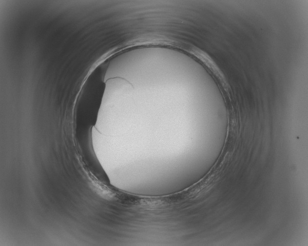 X0000082701242200702161741