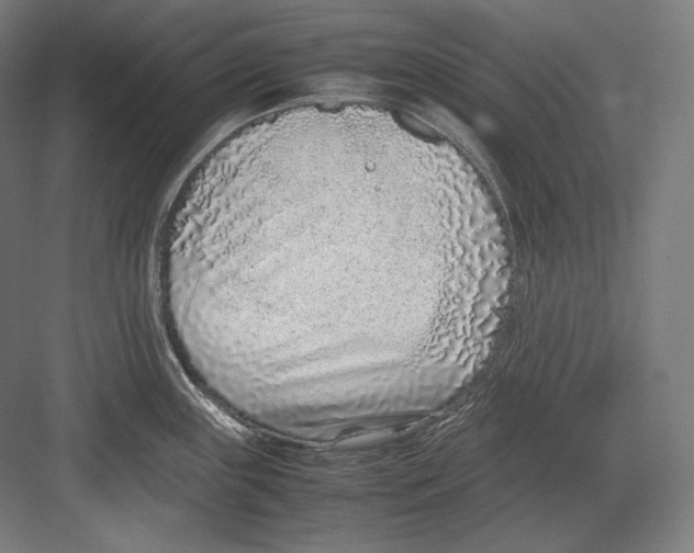 X0000082701243200702161741