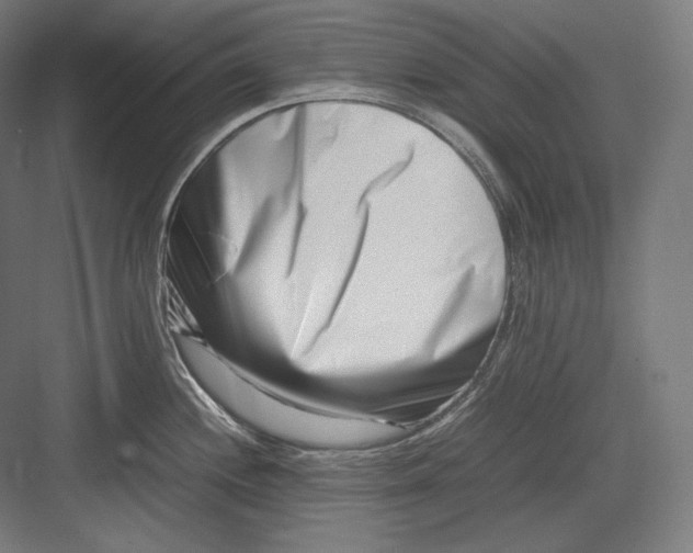 X0000082701244200702161741