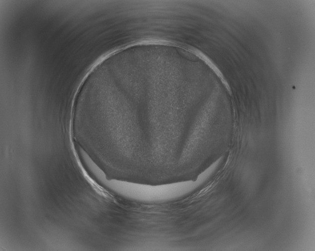 X0000082701245200702161741