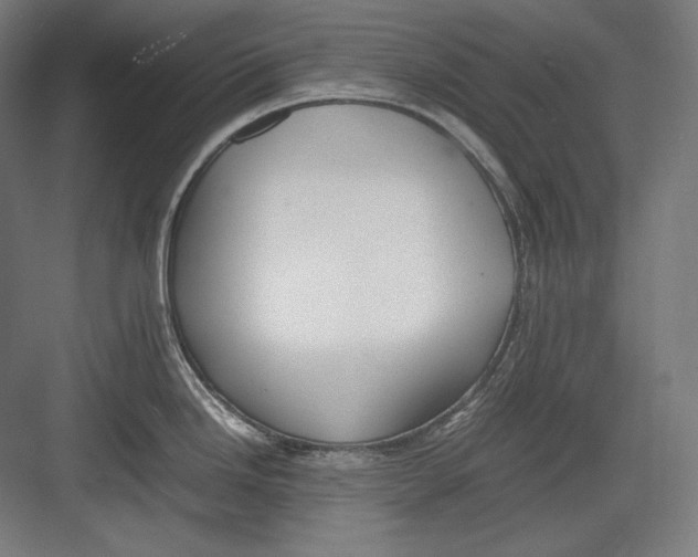 X0000082701246200702161742