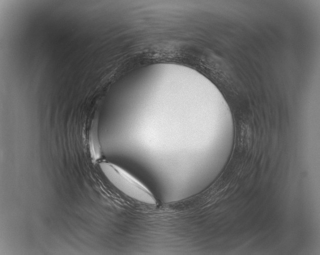 X0000082701250200702161741