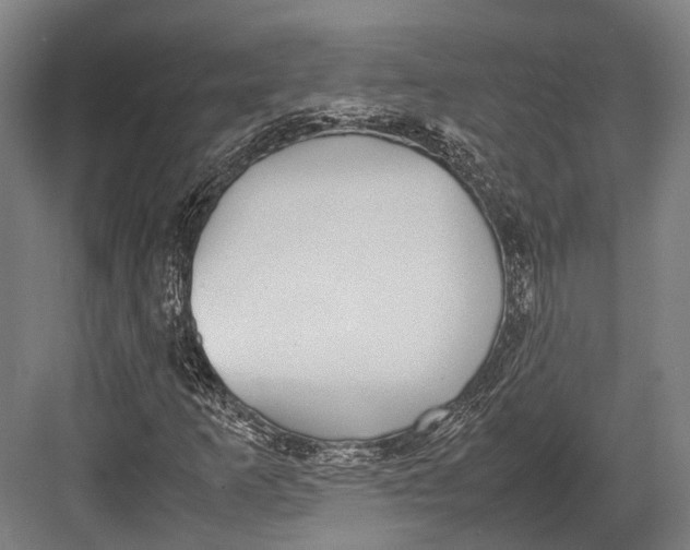 X0000082701253200702161741