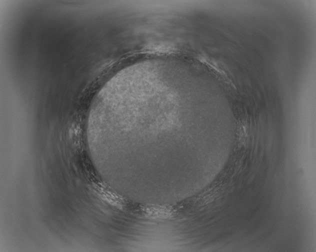 X0000082701254200702161741