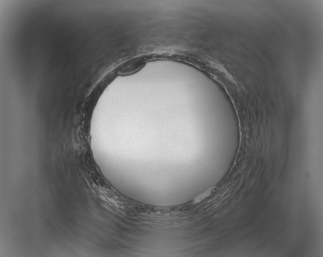 X0000082701256200702161741