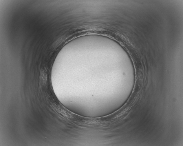 X0000082701257200702161741